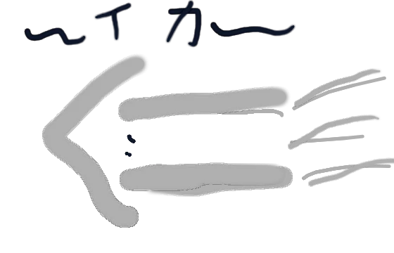 あほイカ