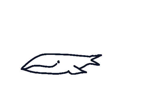 blue whale