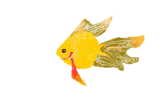 浮光跃金