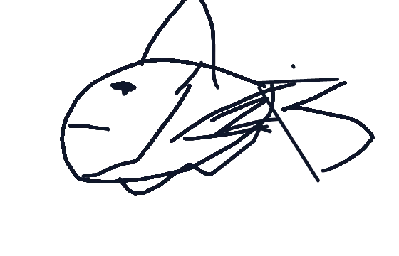Okyanus
