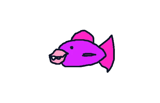 Trigger fish