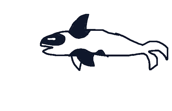 Shadow
