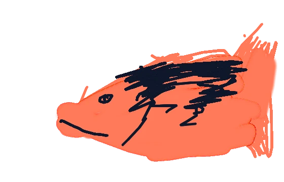 Mercan