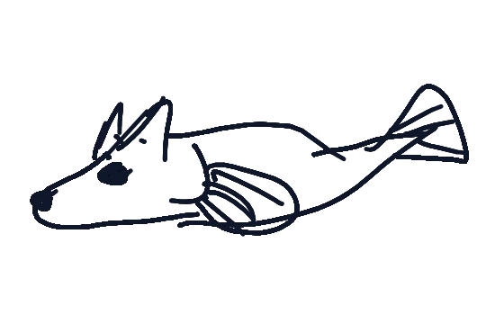 뽀삐