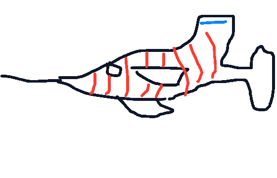 斑纹吉尔