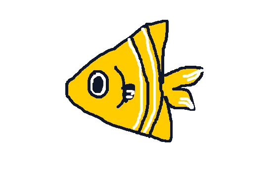 Unnamed Fish