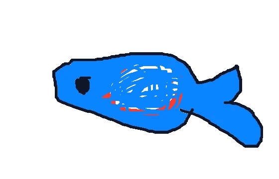 Mavi