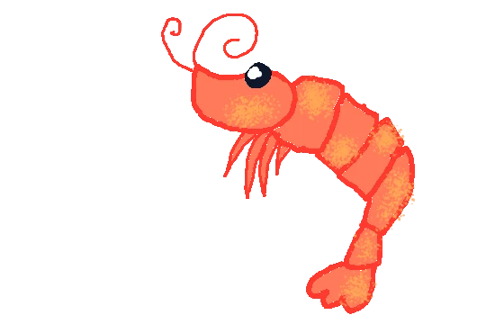 Simp the shrimp