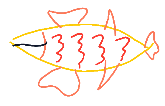 Amber Zigzag