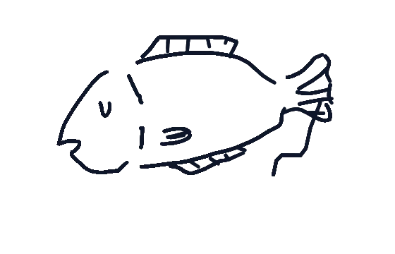 바다