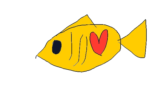 Gold fish and love