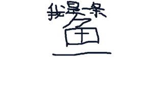 海湾